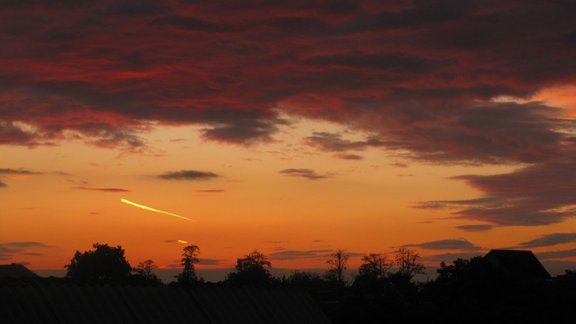 Лілія Ганич | Ужгород