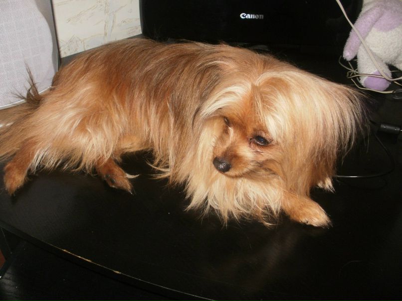 Татьяна Павленко | Полтава