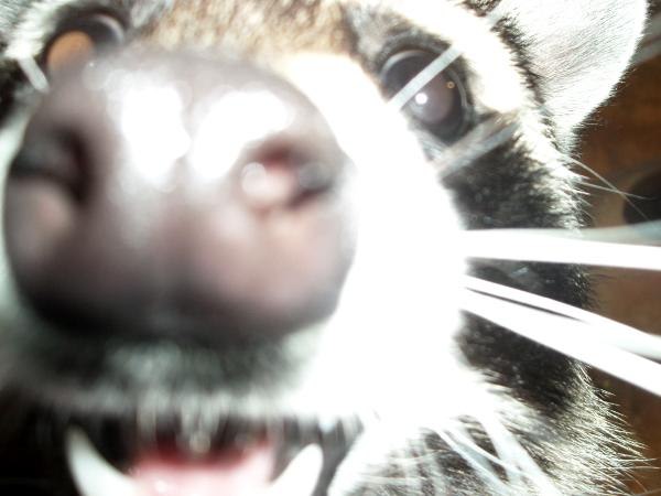 Денис Данилов | Санкт-Петербург