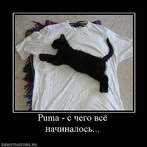 №161, Андрей Ермаков, 47 лет, Москва №161, Андрей Ермаков, 47 лет, Москва