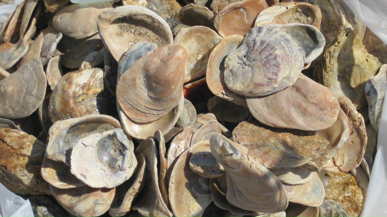 Гузеля Гарипова | Казань