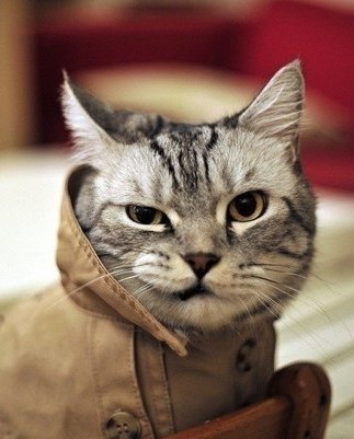 Елена Юркова | Орск