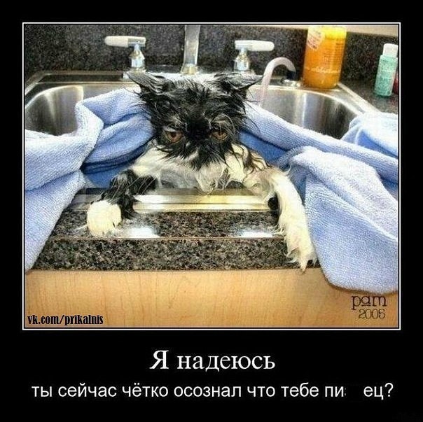 Виктор Коршунов | Островец