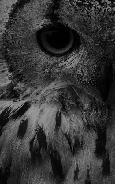 Алёна Половинкина | Москва