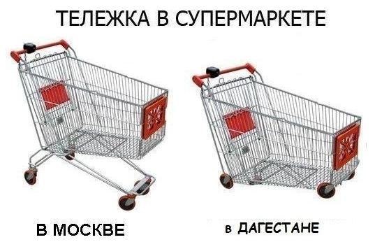 №4, Алексей Морозов, Гатчина №4, Алексей Морозов, Гатчина