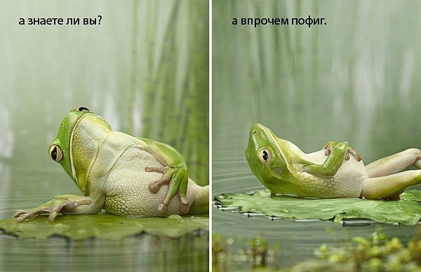 №52, Гали Бикбулатов, 37 лет, Уфа №52, Гали Бикбулатов, 37 лет, Уфа