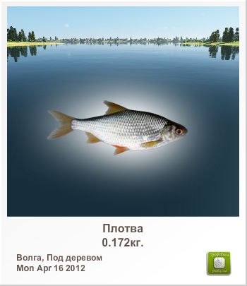 Санёк Сизов | Саратов