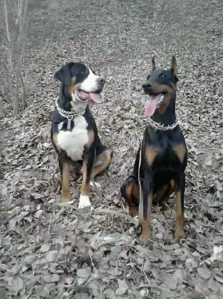 №104, Татьяна Йовченко, Харьков №104, Татьяна Йовченко, Харьков