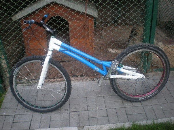 Віталюга Триалюга | Житомир