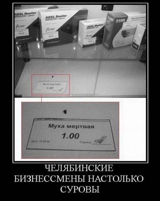 Андрей Сотник | Санкт-Петербург