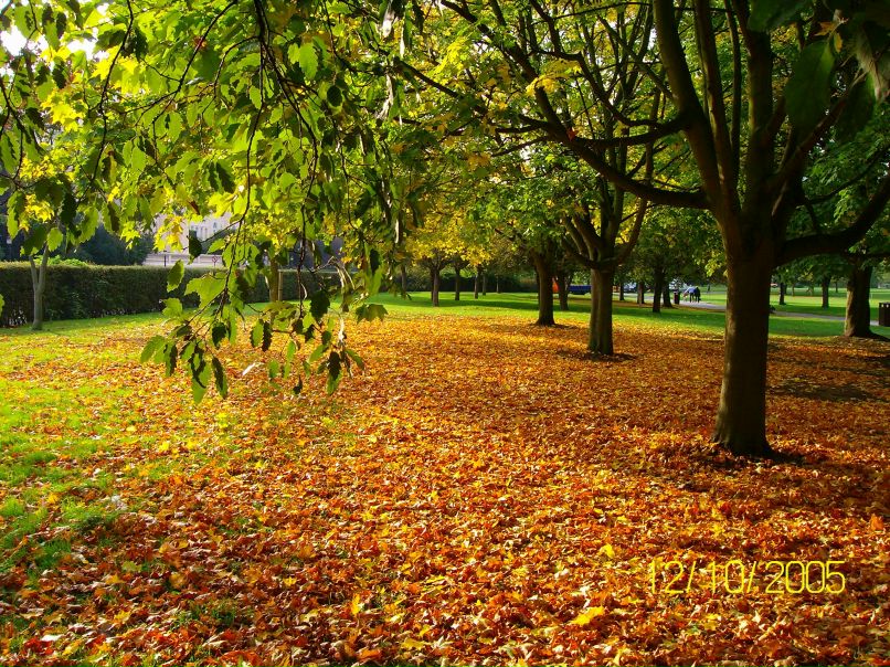 Оксана Макова | 