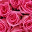 №72, Наденька Бидюк, 19.01.1983, Симферополь №72, Наденька Бидюк, 19.01.1983, Симферополь