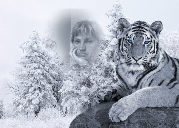 Оксана Иваницкая | Киев