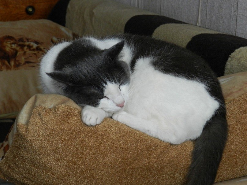 Ирина Калинина Ивановна | Ижевск