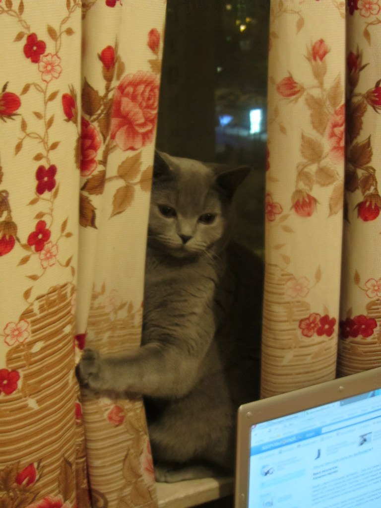 Татьяна Авдеева | Москва