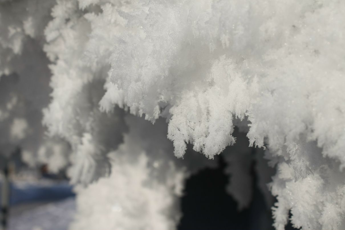 Владимир Серебряков // Царь // | 