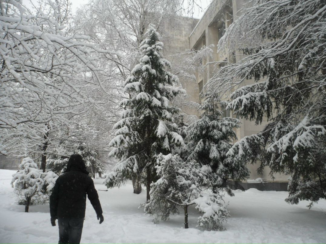 Юрий Андреев | 