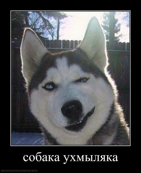 Юля Капелюшок | Киев