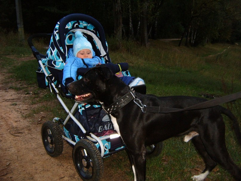 Антон Смирнов | Москва