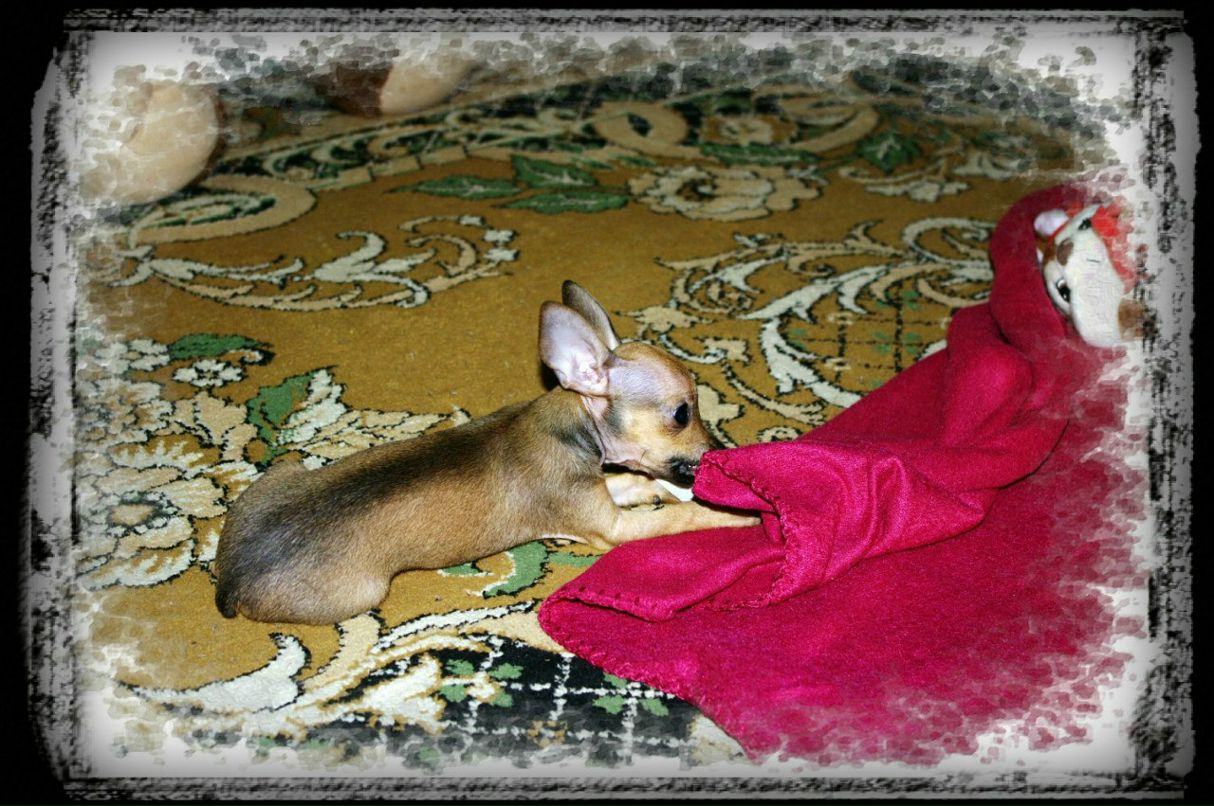 Ольга Завьялова | Великий Новгород