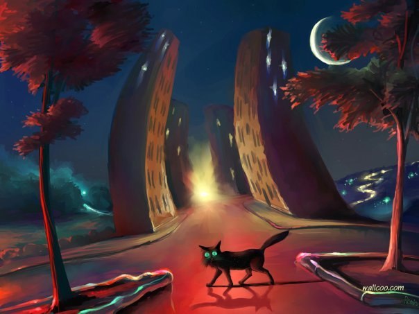 Ольга Сергеева | Санкт-Петербург