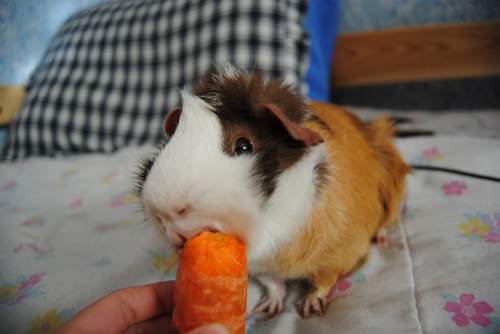 Love Mom | Санкт-Петербург