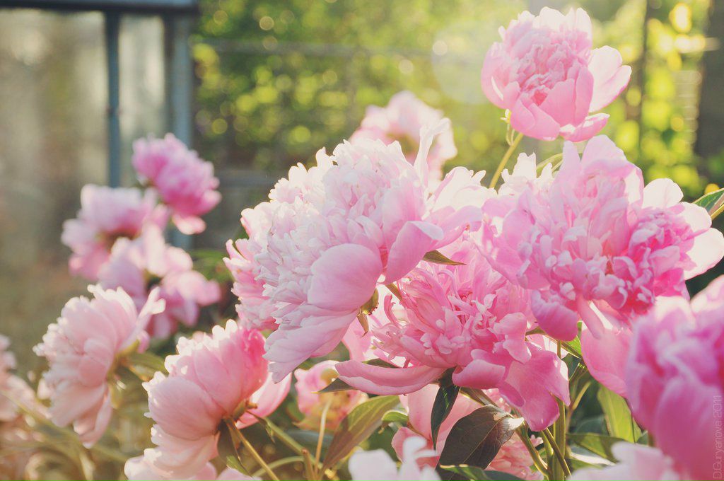 Кристинка Омельченко 유+웃=♥ | Запорожье