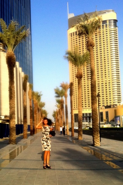 №52, Аня Бицер, Dubai №52, Аня Бицер, Dubai