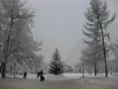 №11 Альбина Миргаязова 21.09.1987: профиль, фото, статус - ВКонтакте