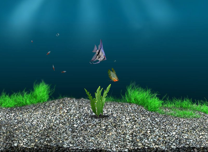 Лейла Фаизова | Уфа