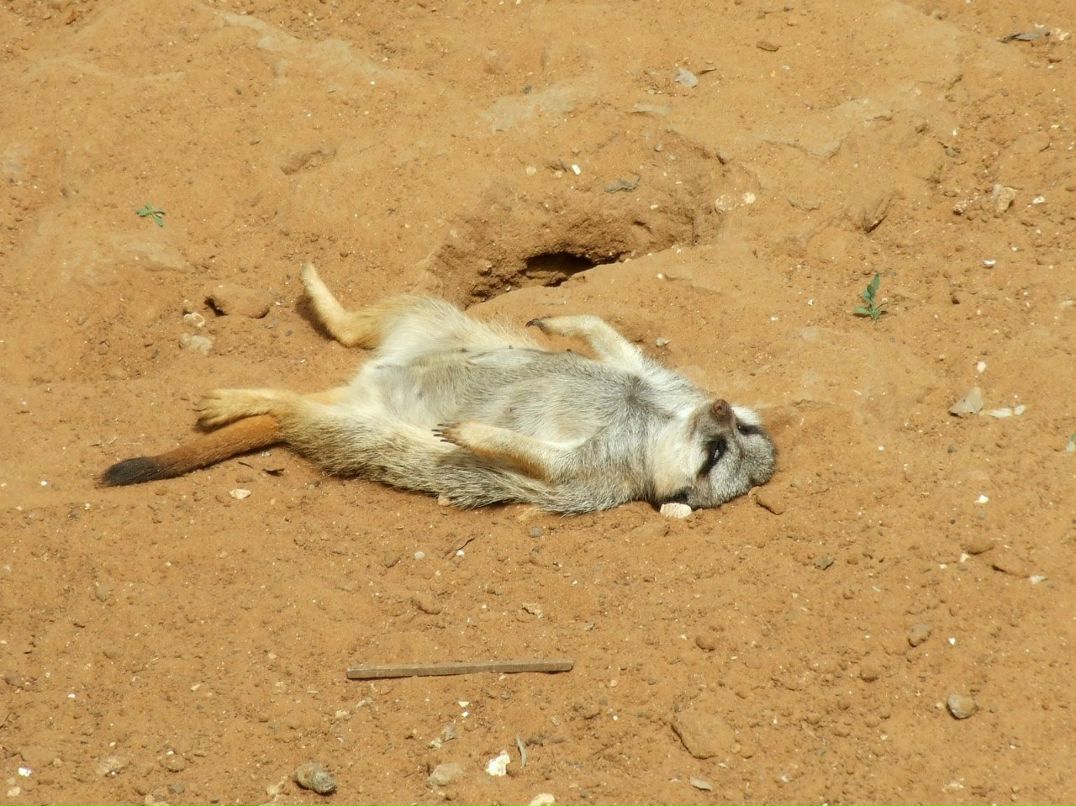 Любовь Перепра | Кисловодск