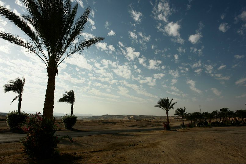 Сергей Скворцов | Кашира