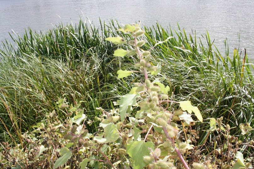 Маргарита Иванова | Москва