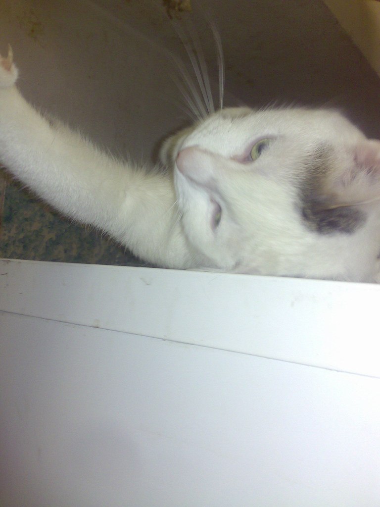 Тарлан Миркамиров Миркамирович | Санкт-Петербург