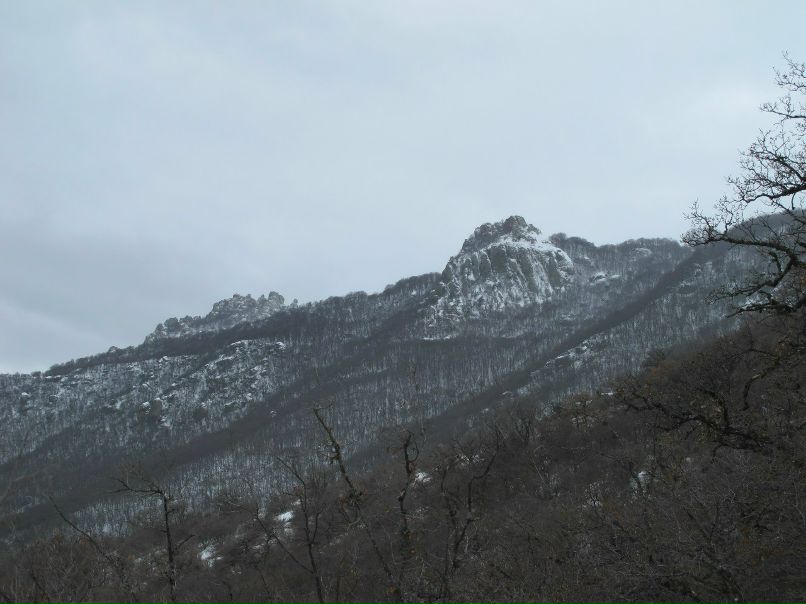 Игорь Баженов | 