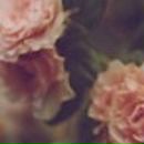 Ангелина Рослова ♥Greeneyes_Angel♥ | Москва