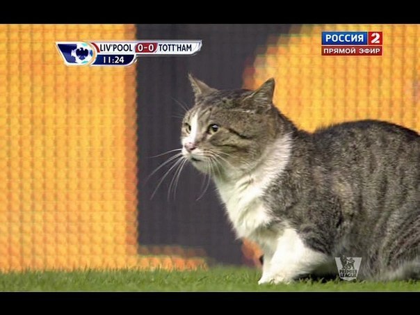 Егор Середа | 