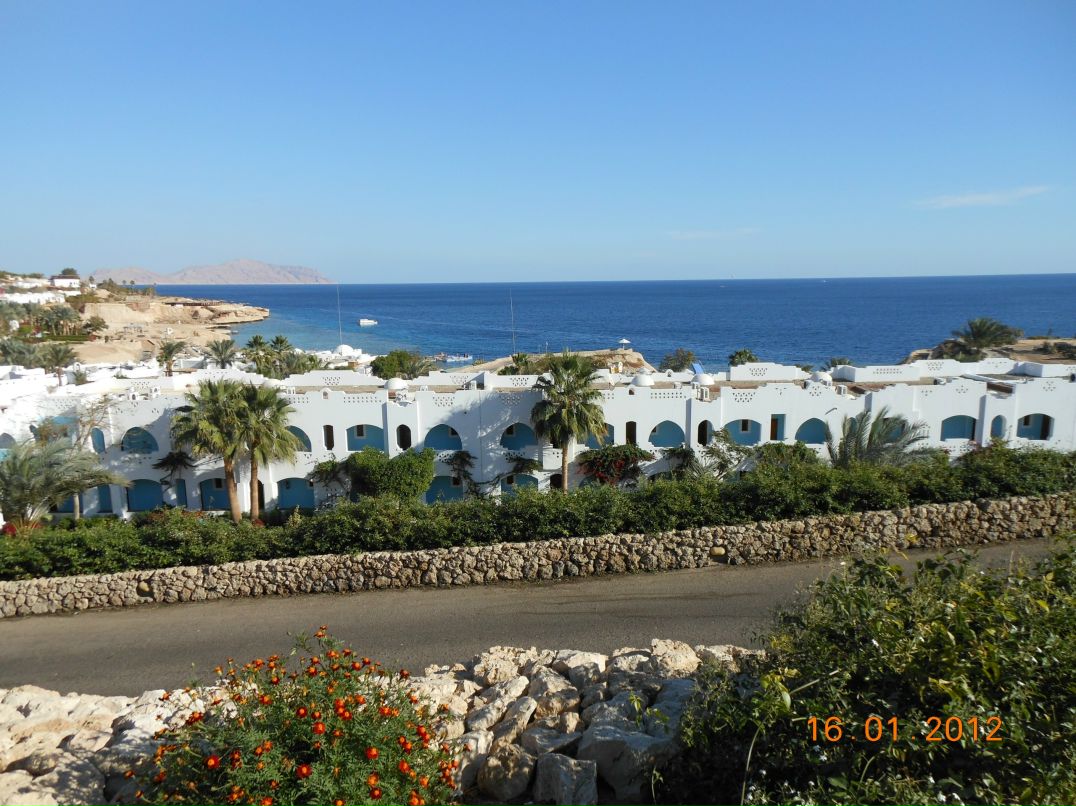 Карина Косюк | Санкт-Петербург