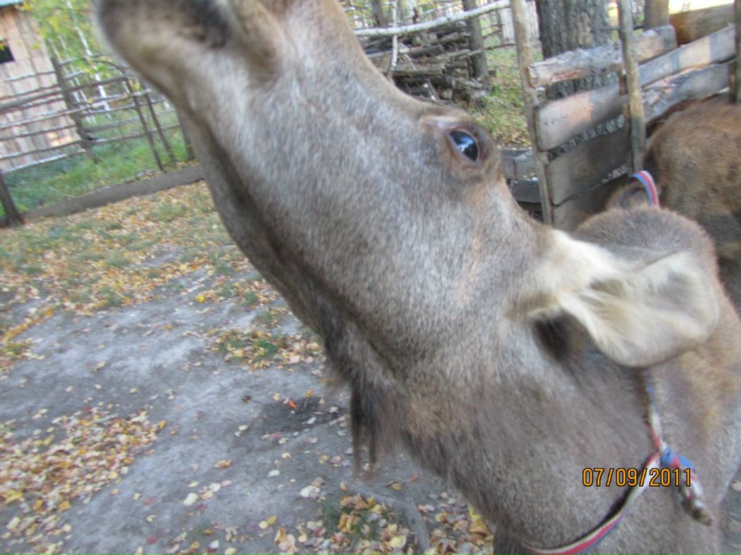 Артем Кокшаров | Тюмень
