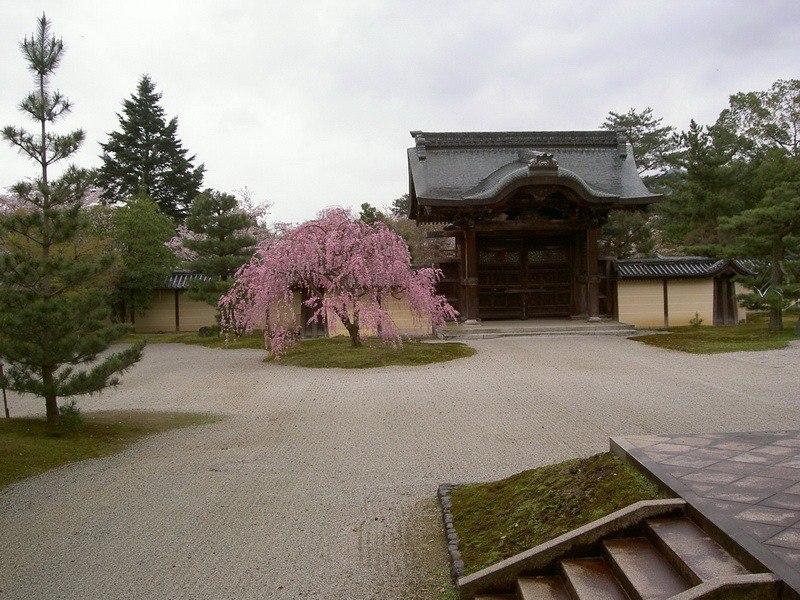 Василий Анкудинов | Полтава