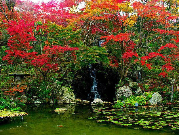 Василий Анкудинов | Полтава