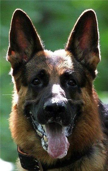 Марина Иванова | Москва