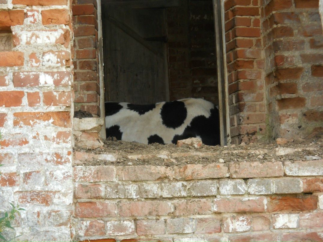 Юлия Снигирева | Березники