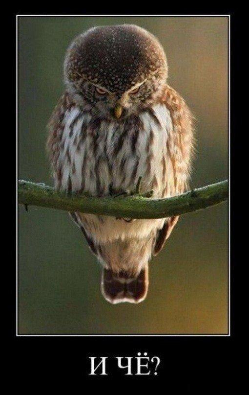 Артуррр Удовиков | Харьков