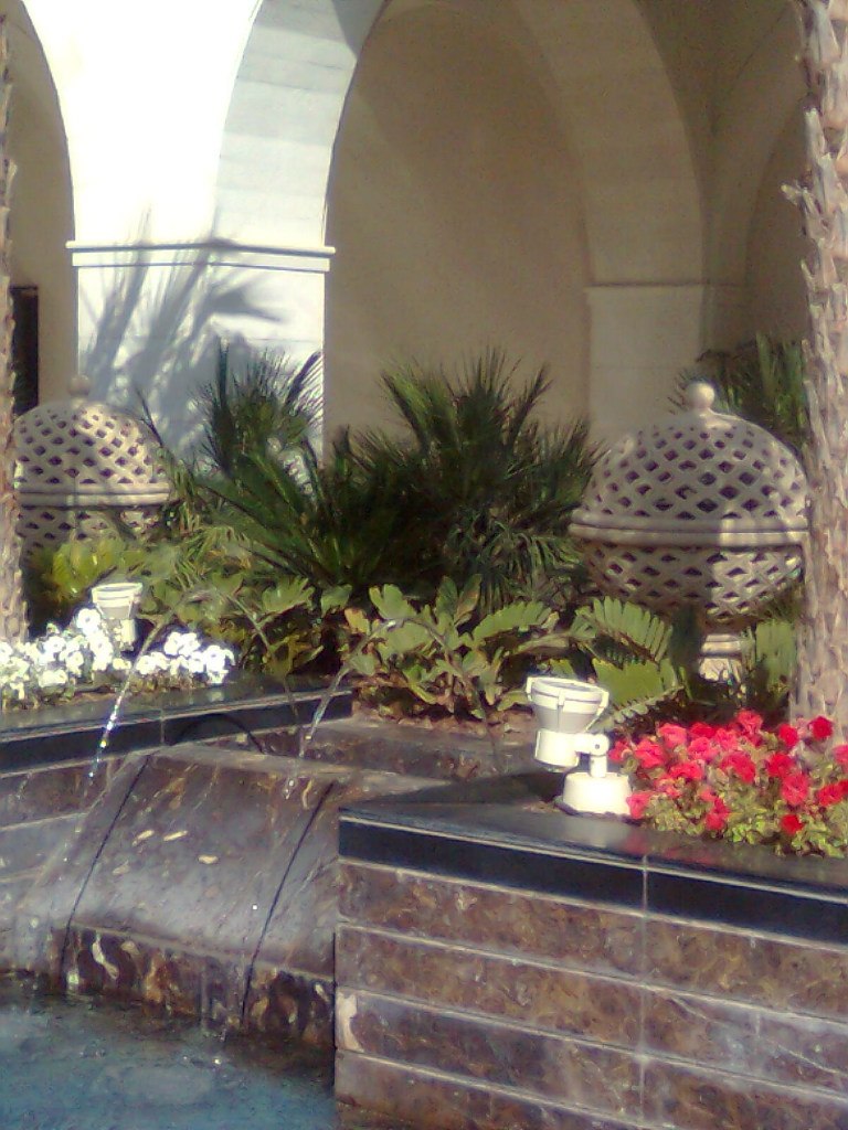 Сергей Никитин | Санкт-Петербург