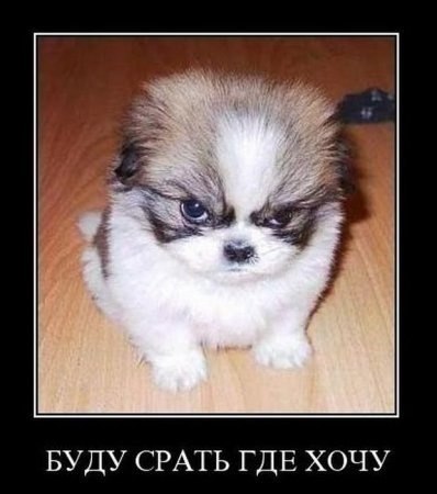 №79, Татьяна Иващук, Москва, Россия №79, Татьяна Иващук, Москва, Россия