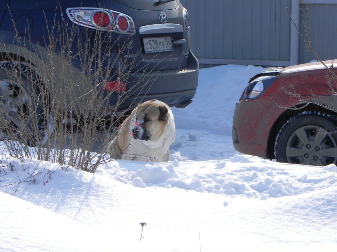 Слава Матрунич | Пермь