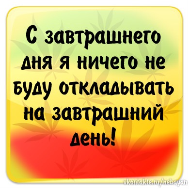 №9, Ліза Кох №9, Ліза Кох