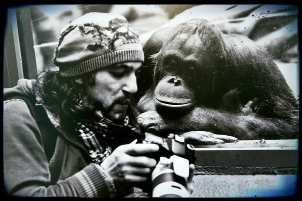 Соня Павлова | Москва