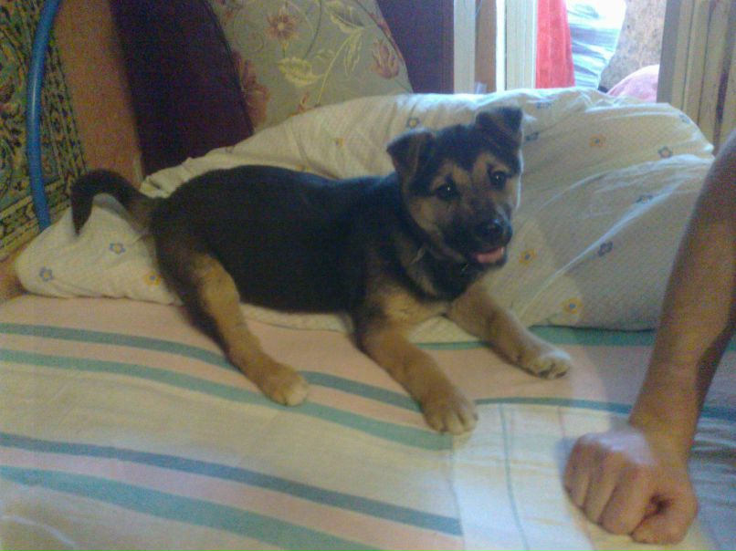 Евгения Булатова | Тамбов